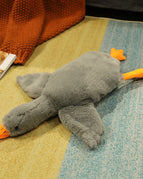 Grey / 160cm