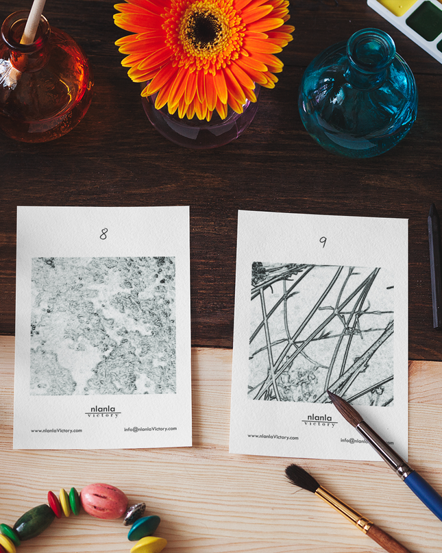 (OLDIE) Copy of Victory in Wellness starter kit, Countdown Advent Calendar Wellness Cards-2